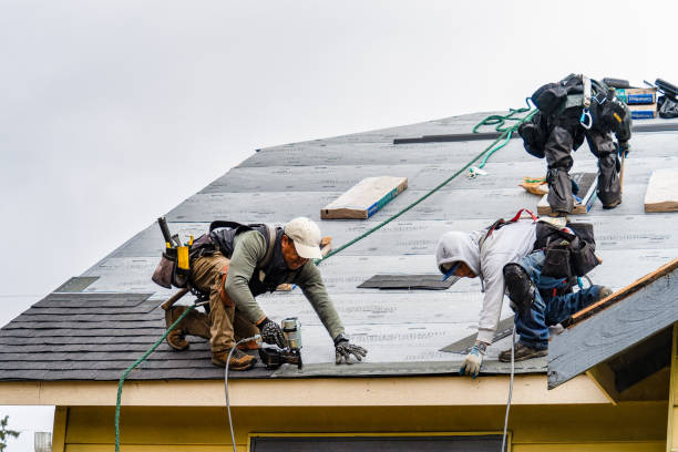 Professional Roofing technician working in Newark, NY